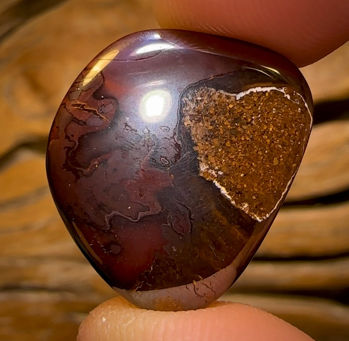 30.7cts - Yowah Nut Black Center Tribal Kernel Opal. Australian Boulder Opal