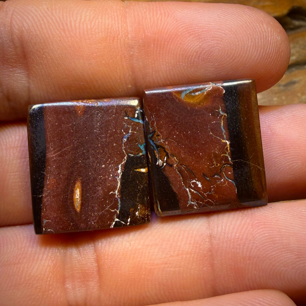 Wild card! 48.1cts - Queensland Boulder Opal Pair from Yowah