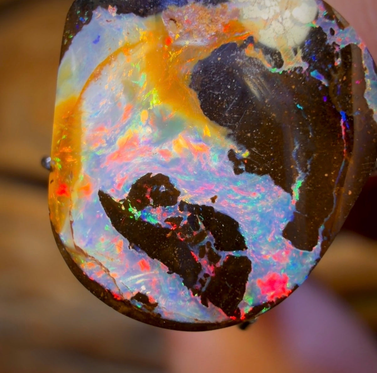 6.65cts - Queensland Boulder Opal from Yowah