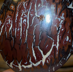 45.3cts - Queensland Boulder Opal from Koroit