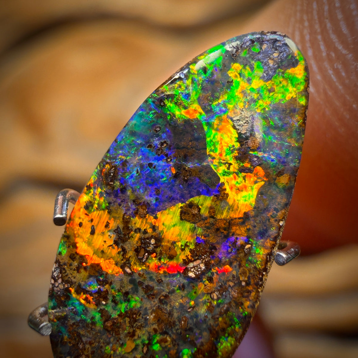 2.8cts - Top Electric Rainbow Queensland Boulder Seam Opal