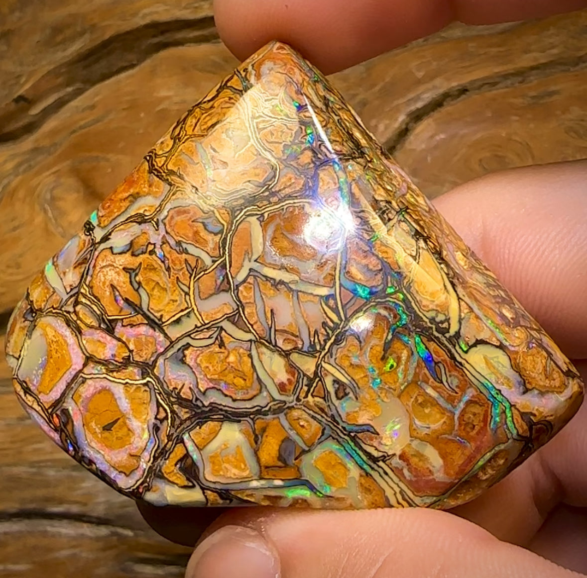 258.9cts - Large Top Tribal Queensland Boulder Art of Opal Style Polished Specimen
