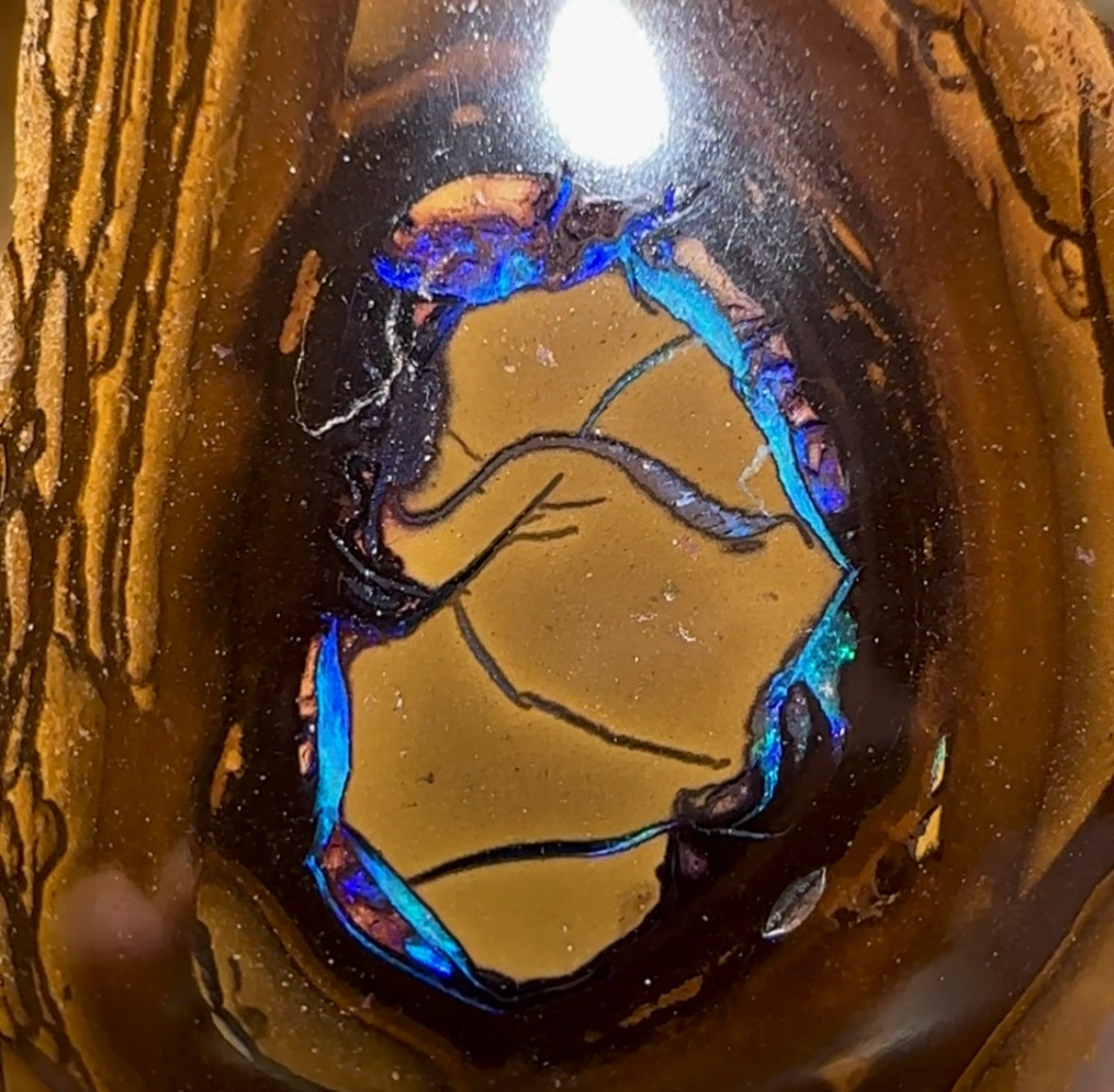 79cts - Yowah Nut Opal Polished Specimen - Opal Whisperers