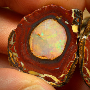 65.5cts - Yowah Nut Crystal Centre Rough Specimen Pair