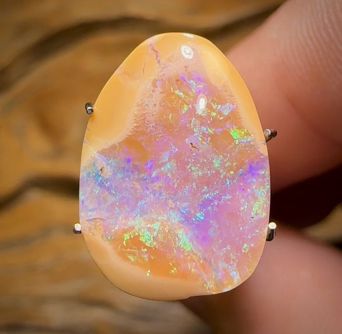 🔨 AUCTION 🔨 Reserve 💎 High Roller Banger Auction 💎 4.65cts - RARE Purple Yowah Nut Crystal Centre Opal on Porcelain Ironstone
