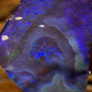 Bargain Card! 16.1cts - “Ocean Dreams” Top Australian Boulder Seam Opal from Winton