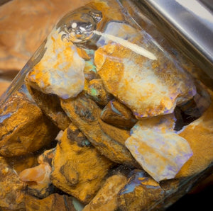 656cts - Jar of Yowah Nut Opal Rough w/ Fossil Opal