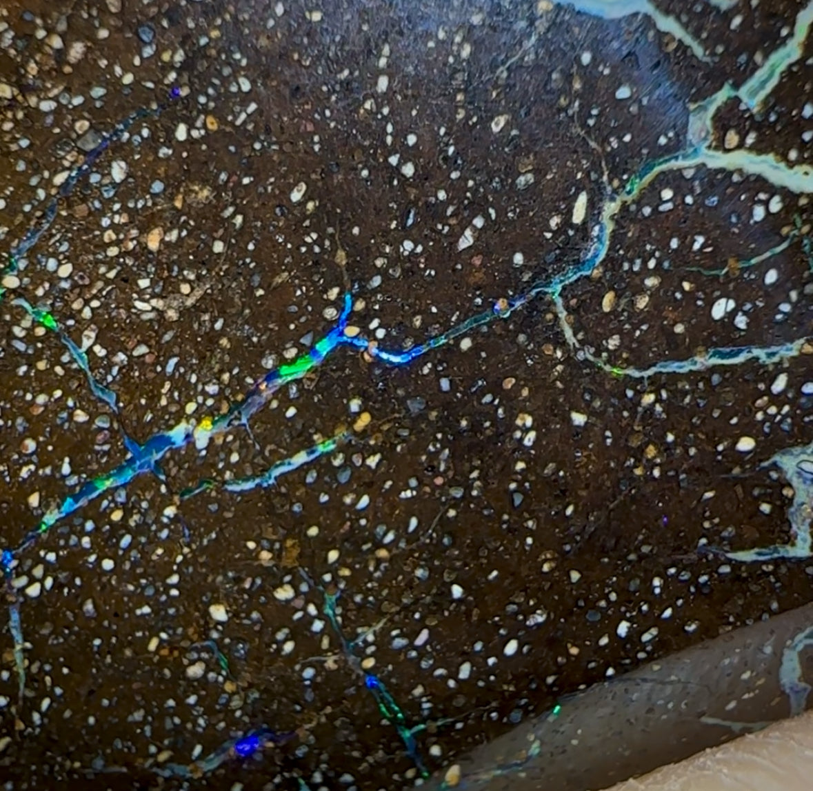 Auction Fall-Through = Your Gain! 🔥 Now More Than 50% Off RRP 🚨 19.4cts - Queensland Boulder Seam Opal