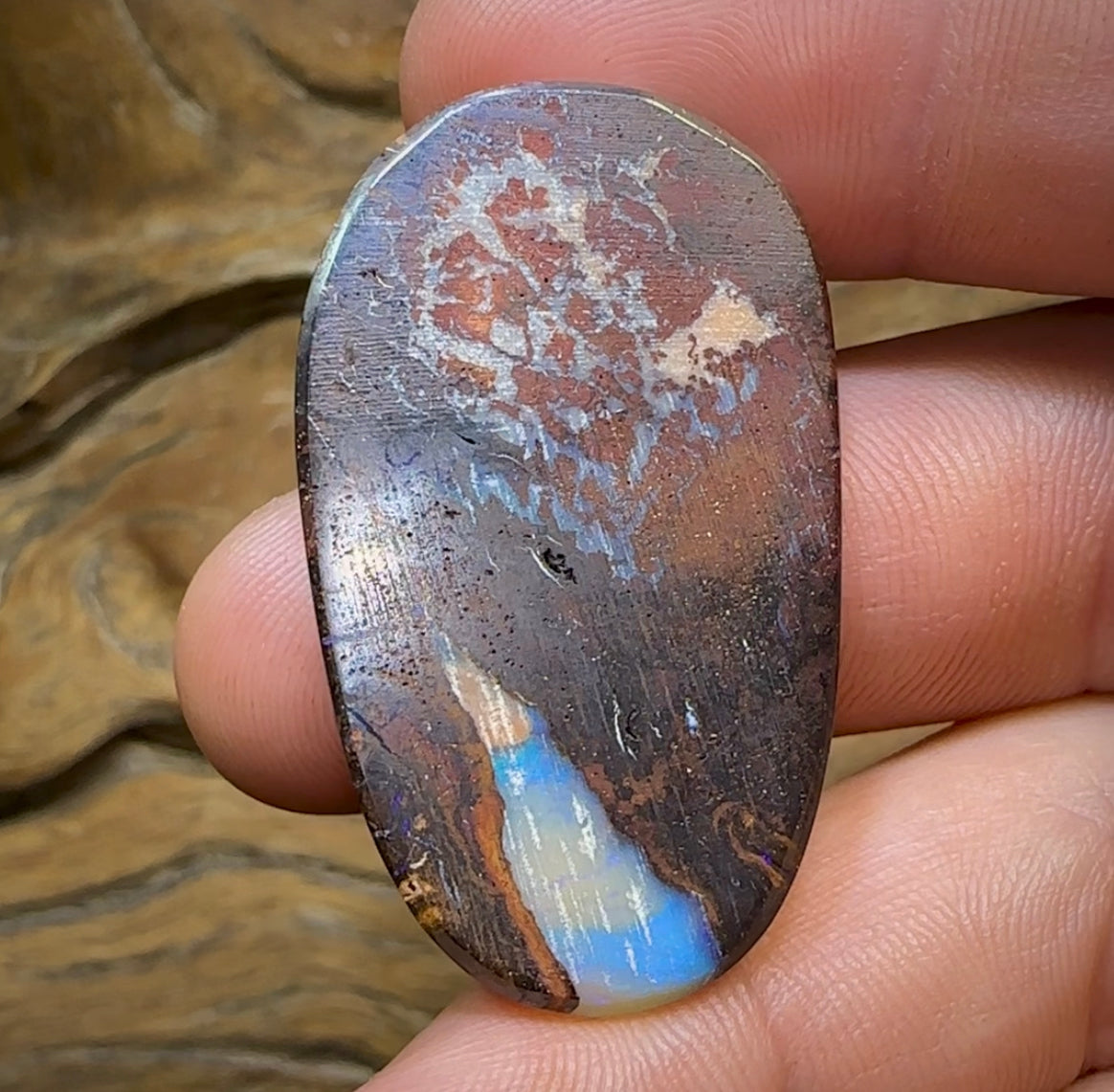 53.2cts - Australian Boulder Opal. Aquatic Pattern - Opal Whisperers