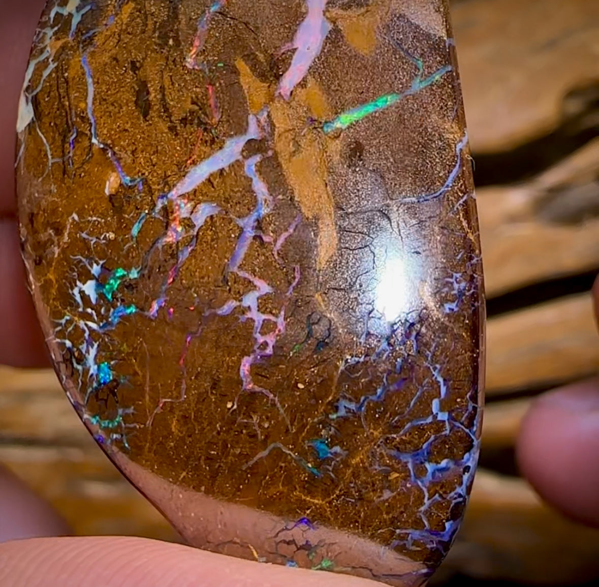 106.6cts - Magnificent Bubble Band Opal Pair With Red Muti Colours