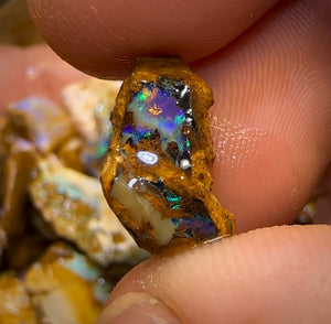 215cts - 25x Opalised Wood/Vegetation Fossil Rough Parcel from Yowah