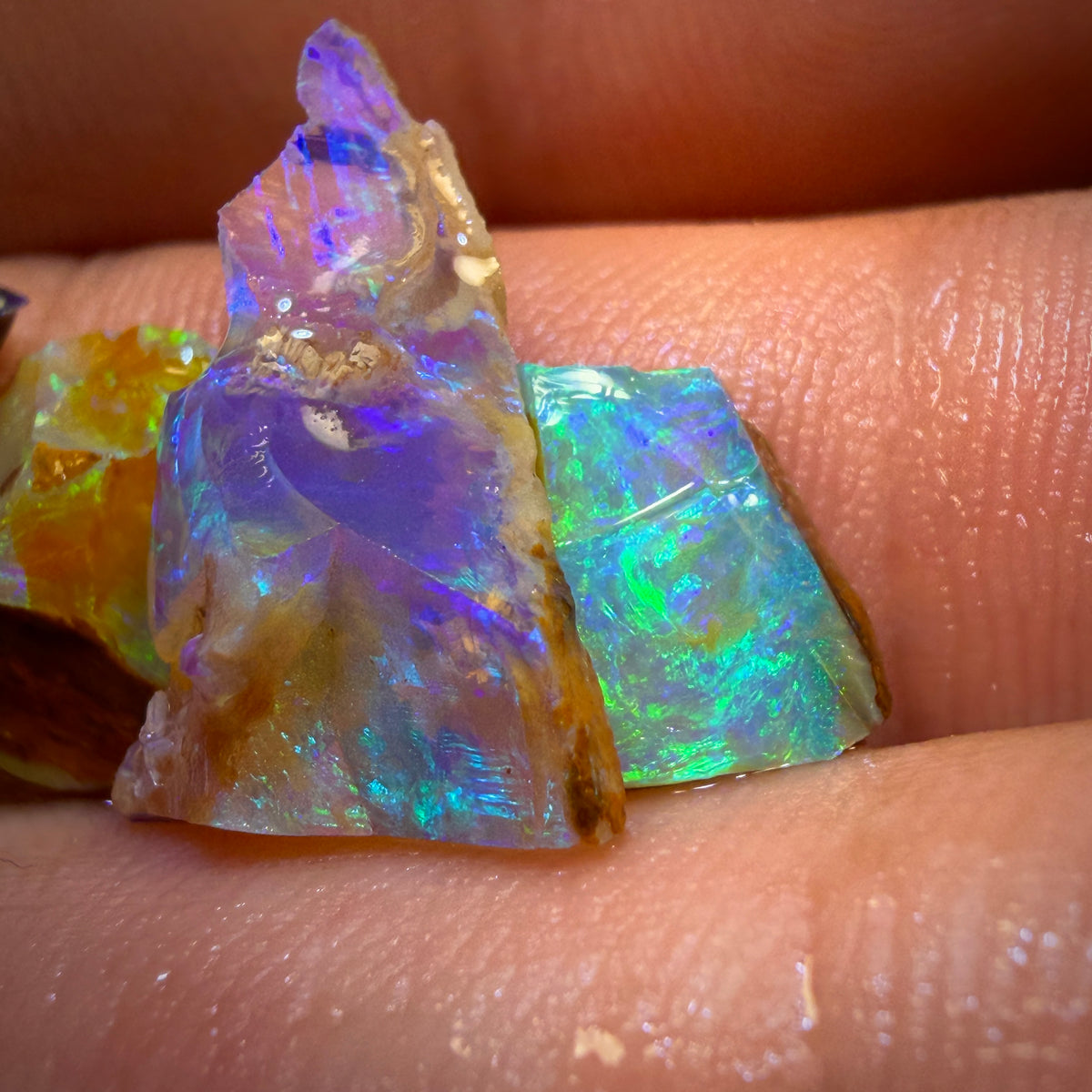 16.8cts - 4x Australian Yowah Wood fossil Crystal Opal Rough Pieces. Highly Prized Material