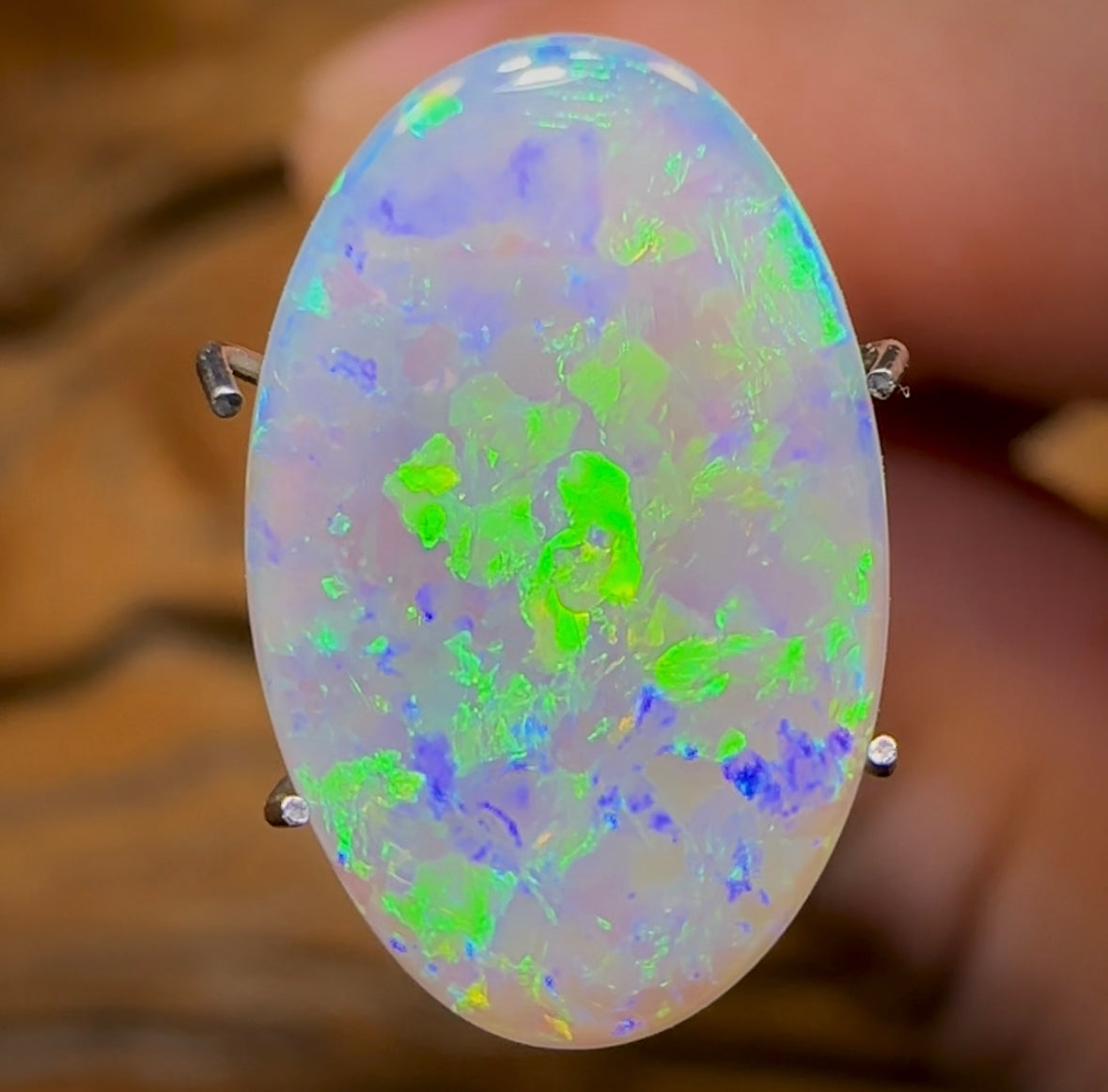 2.9cts - Lightning Ridge Light Opal. Gem Quality - Opal Whisperers