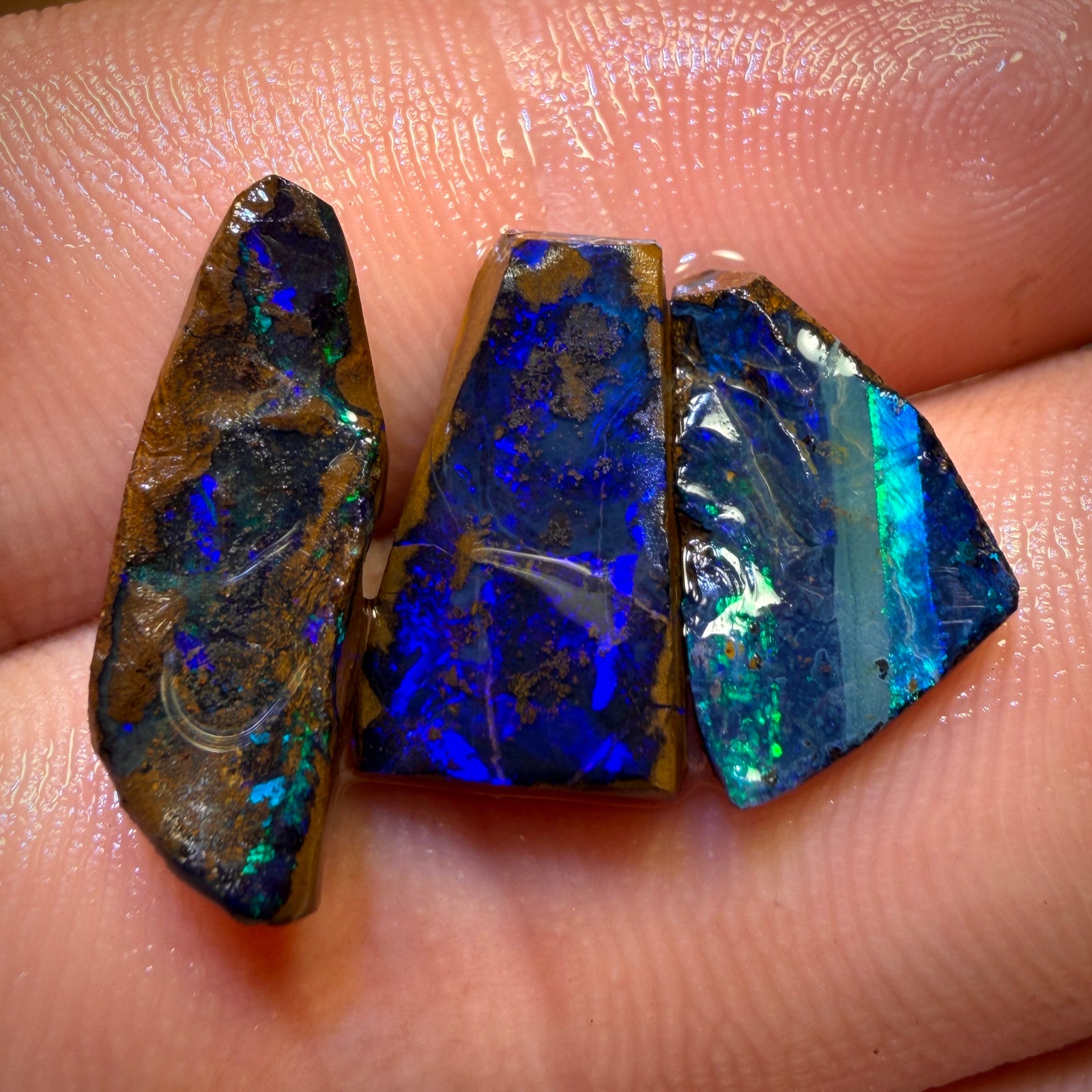 9.5cts - 3x Yowah Nut Opal Rough Preform’s