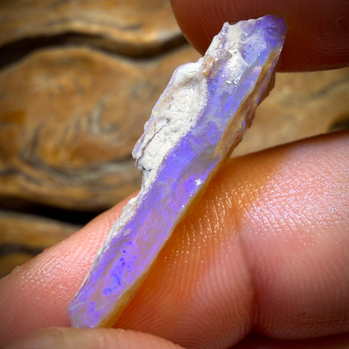 9.5cts - Lightning Ridge Opal Rough Piece. Isaac’s Cutter’s!