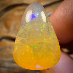 9.5cts - Yowah Nut Pure Golden Crystal Opal