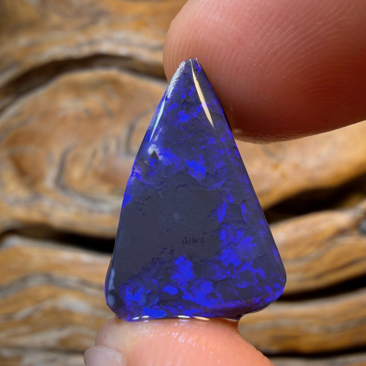 9.6cts - Lightning Ridge Black Opal Rough Piece