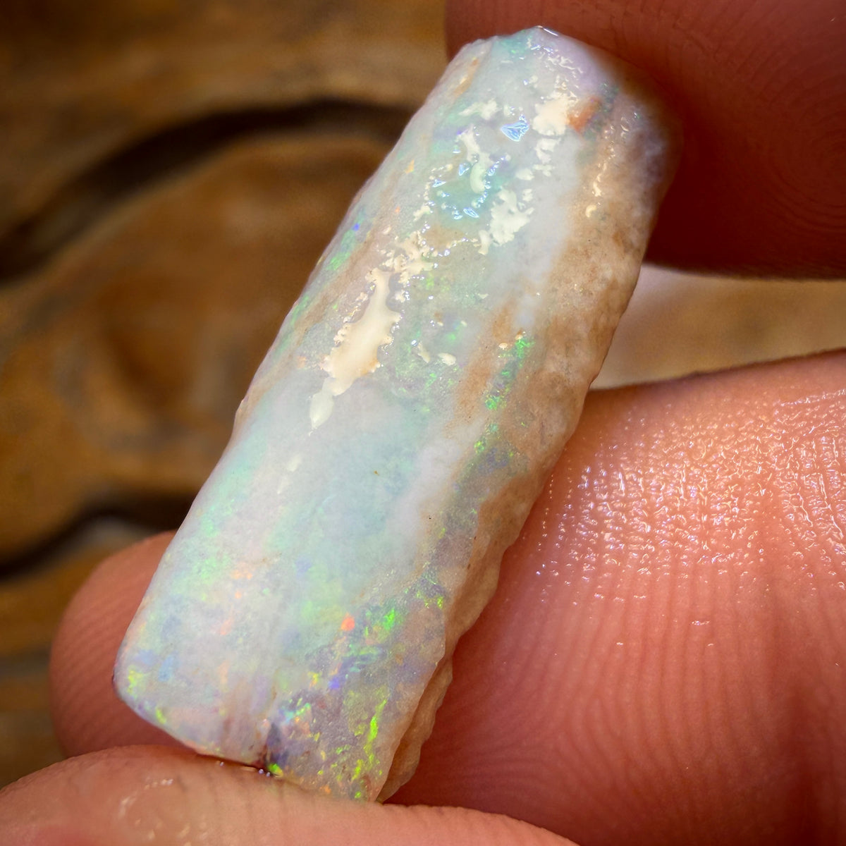 9.9cts - Opalised Belemnite Geological Specimen from South Australia
