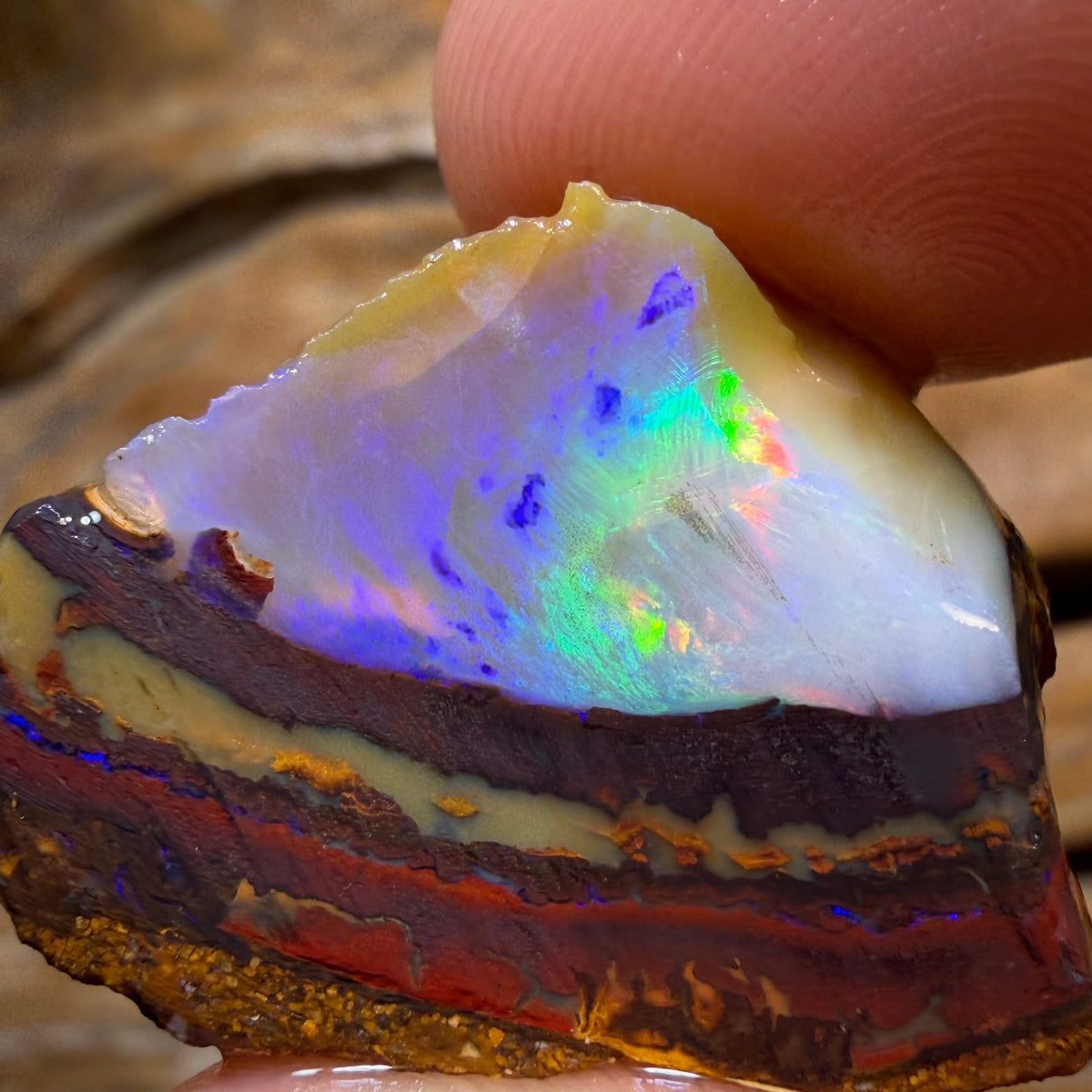 HDW 53.2cts - Partial Yowah Nut Crystal Centre Opal Rough Piece