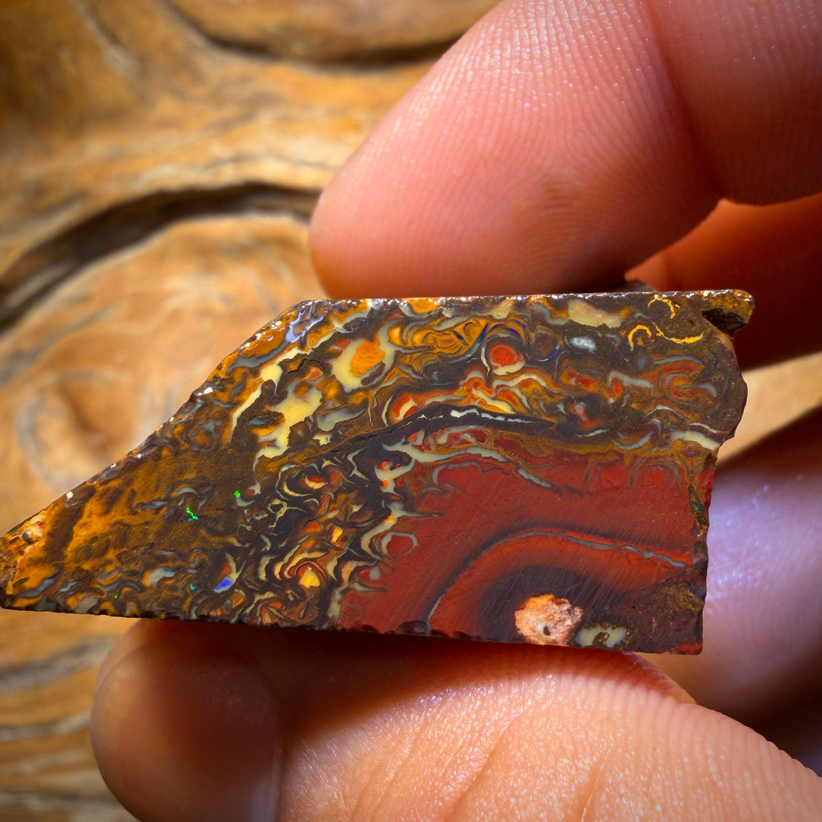 🔨 AUCTION 🔨 257.2cts - Tribal Yowah Nut Picture Stone Opal Rough Piece