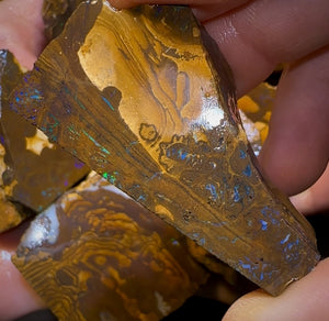 2061cts - 9x Queensland Boulder Rough Opal Parcel Only 0.25c/ct !