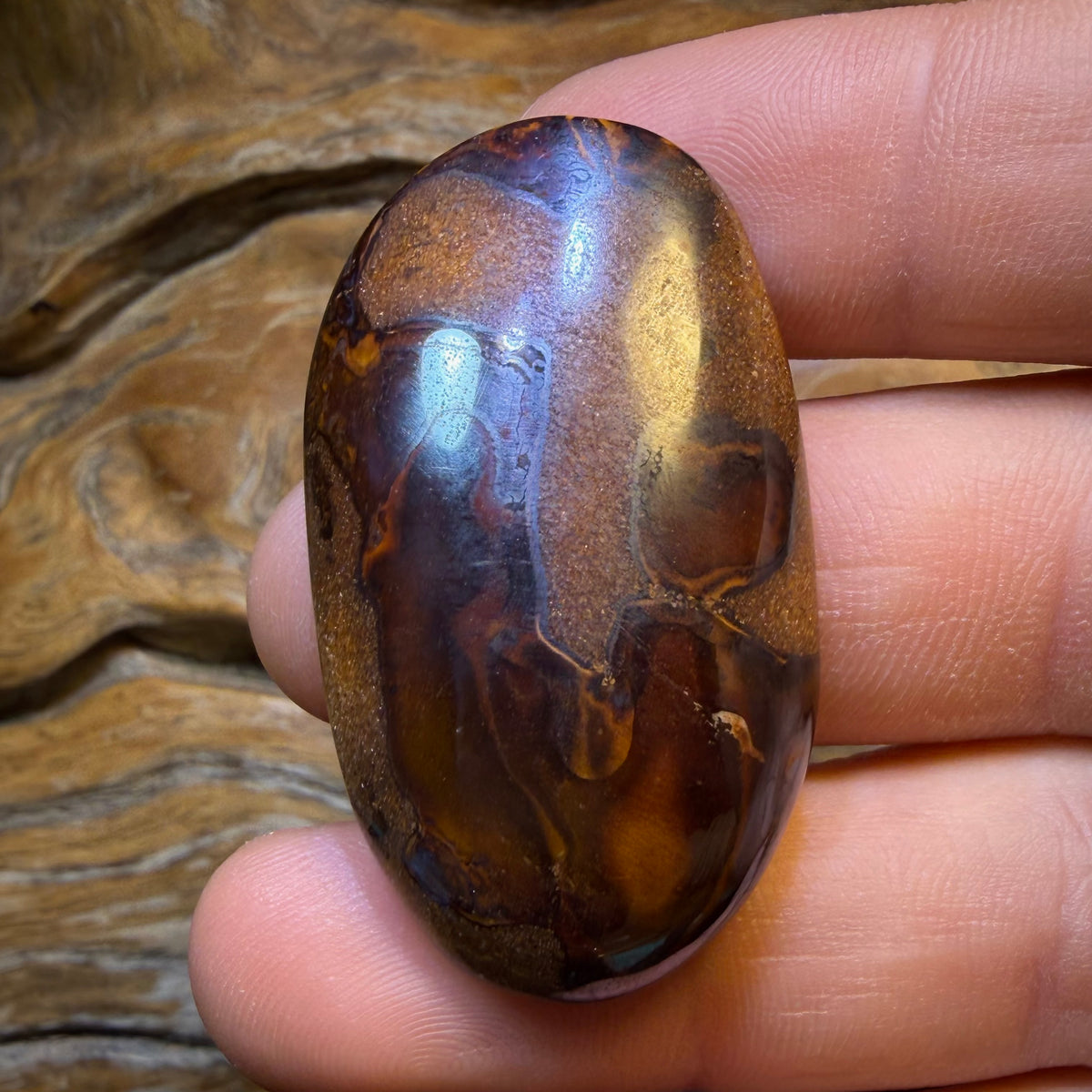 🔨 AUCTION 🔨 98.1cts - Tribal Yowah Nut Kernel Opal. Australian Opal