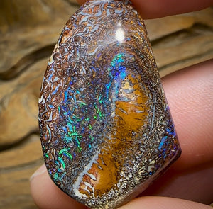 48.3cts - Double Sided Yowah Nut Opal. Ultimate Art Tribal Pattern