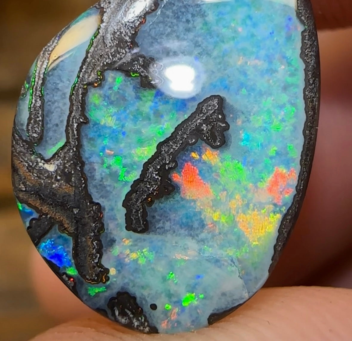 5.7cts - Solid Queensland Boulder Australian Opal - Opal Whisperers