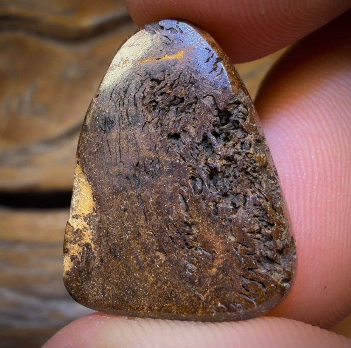 29.1cts - Bubbleband Opal from Winton. Australian Opal