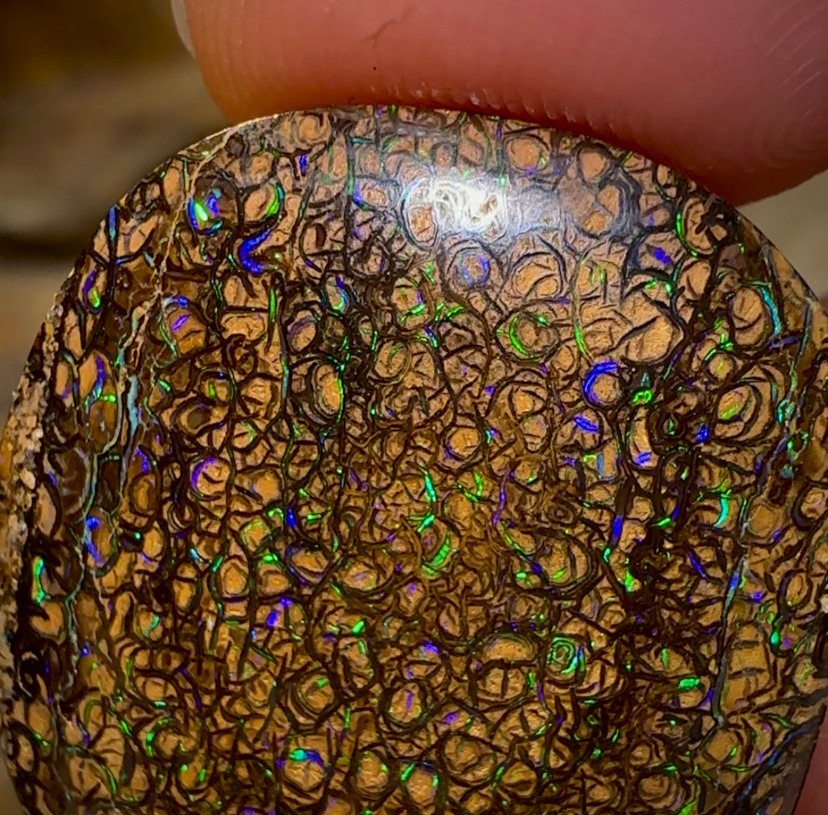32.3cts - Yowah Nut Tribal Opal - Opal Whisperers