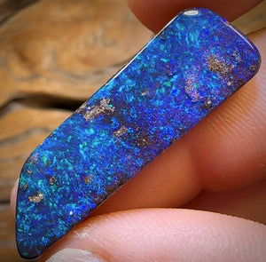 20.2cts - Gem Queensland Boulder Seam Opal. Reef Pattern!