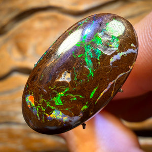 16.5cts - “Electric Boogaloo Bargain” Queensland Boulder Opal from Yowah