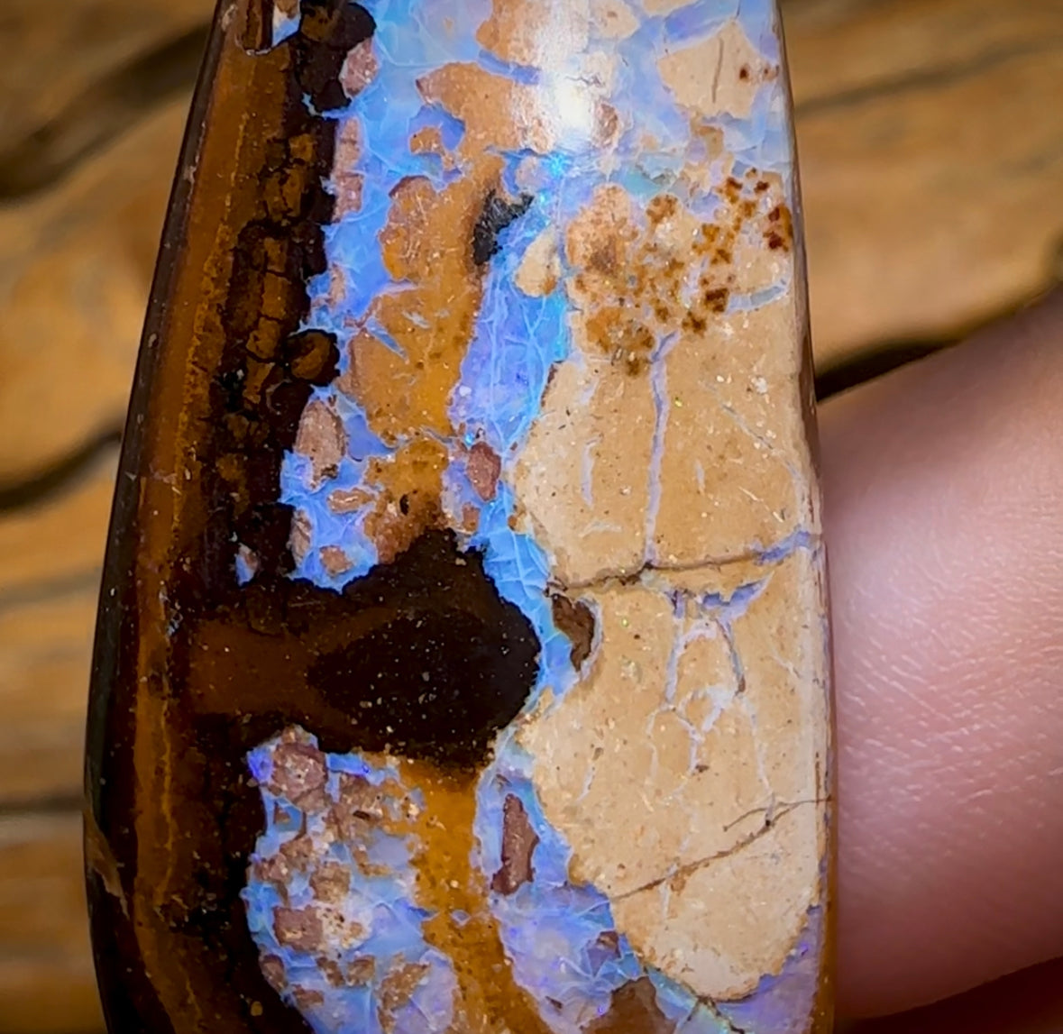 88.3cts - Large Queensland Boulder Opal from Yowah