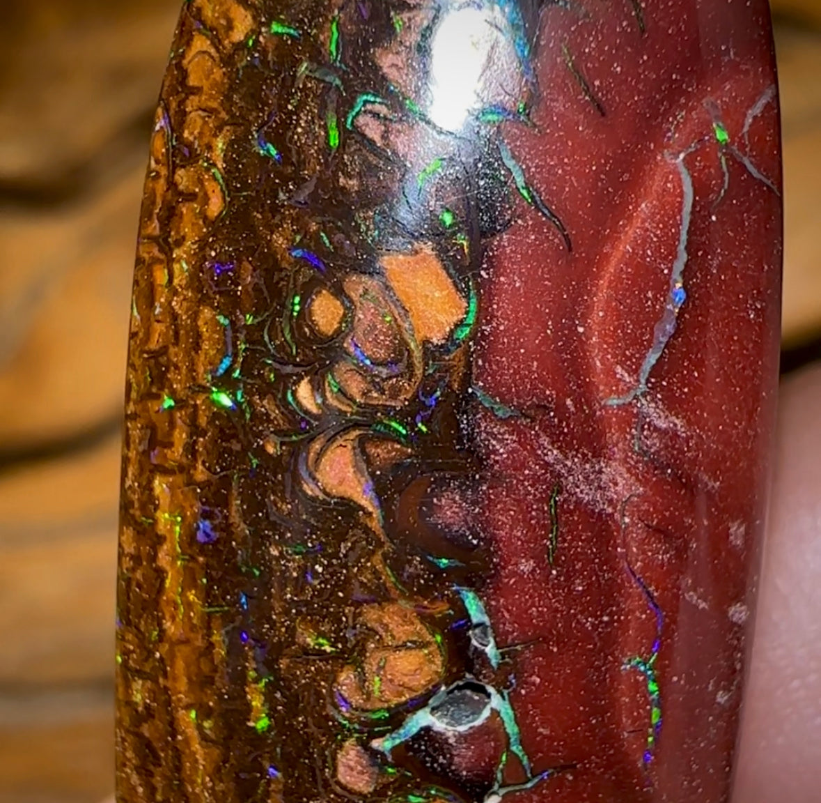 56.1cts - Tribal Koroit Nut Opal. Australian Opal - Opal Whisperers