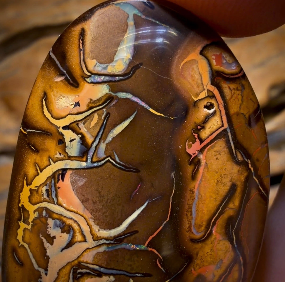 48-Hour VIP Crazy Offer 123.1cts - Tribal Queensland Boulder from Yowah Picture Stone