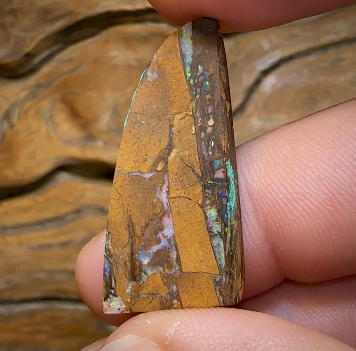 15.4cts - Australian Boulder Wood Fossil Replacement Opal - Opal Whisperers