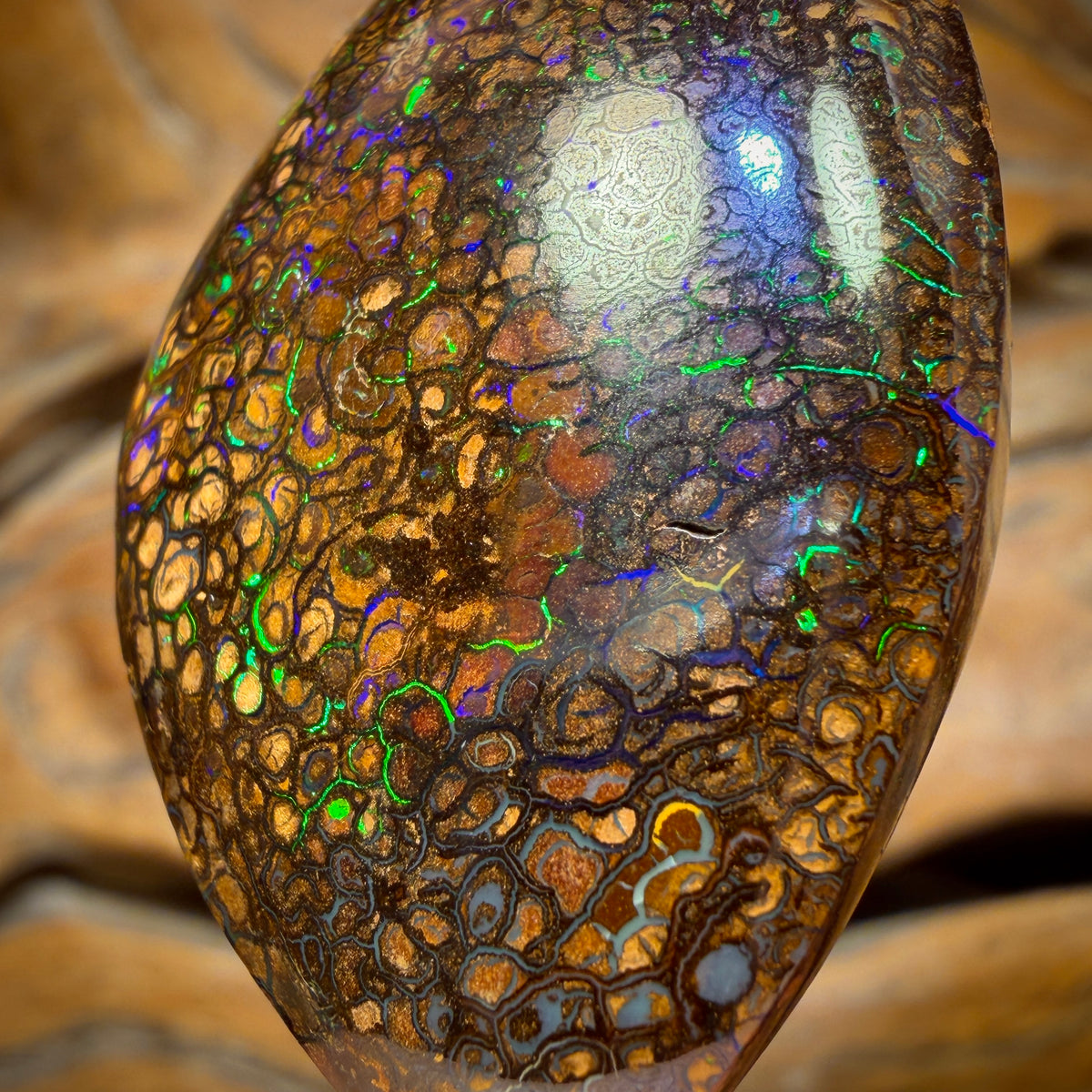 63,2 ct – Yowah Nut Tribal. Australischer Boulder-Opal