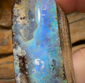 256.9cts - Polished Queensland Boulder Opal Specimen