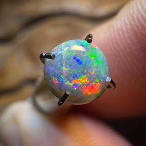 OpalFest Wildcard! 0.55cts - Dark Opal from Lightning Ridge