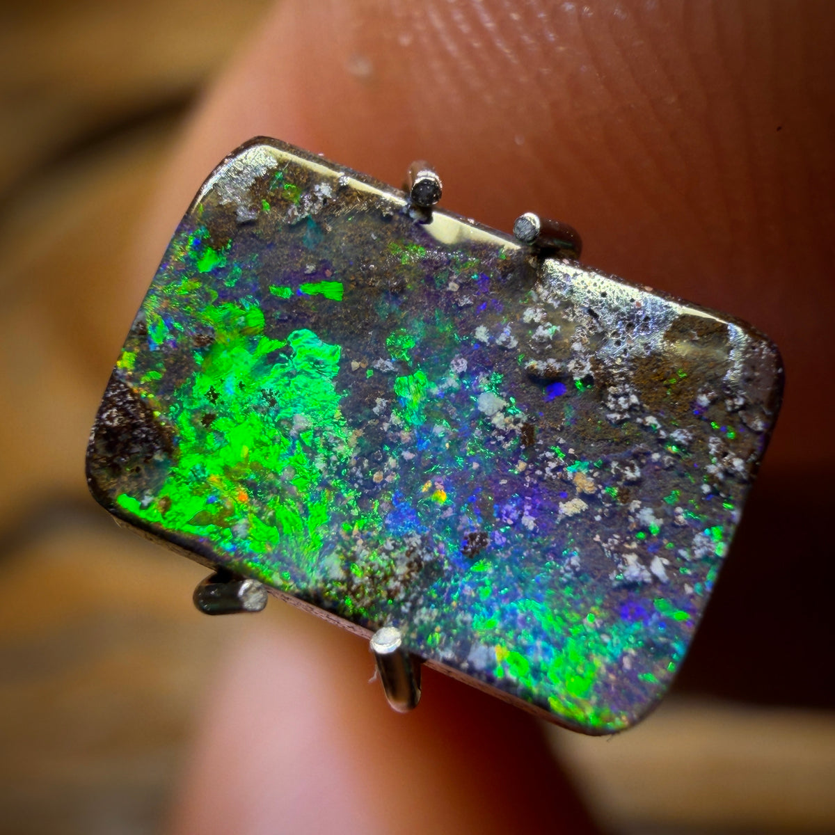 1.5cts - Solid Queensland Boulder Opal