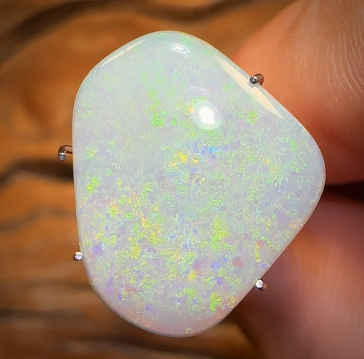 🔨 AUCTION 🔨 4.1cts - Gem South Australian White Opal