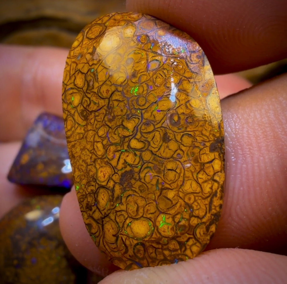105.2cts- 4x Tribal Queensland Boulder Opal Rubs