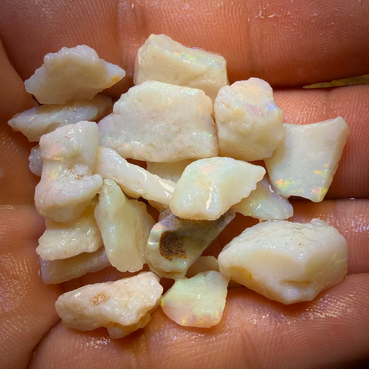 91.6cts - 20x South Australian White Opal Rough Parcel