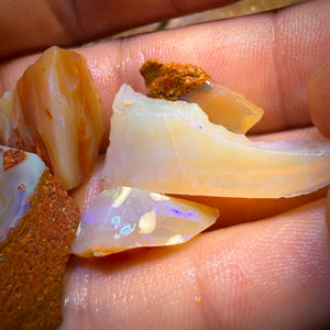 92.3cts - 6x Queensland Boulder Pipe Opal Rough Parcel