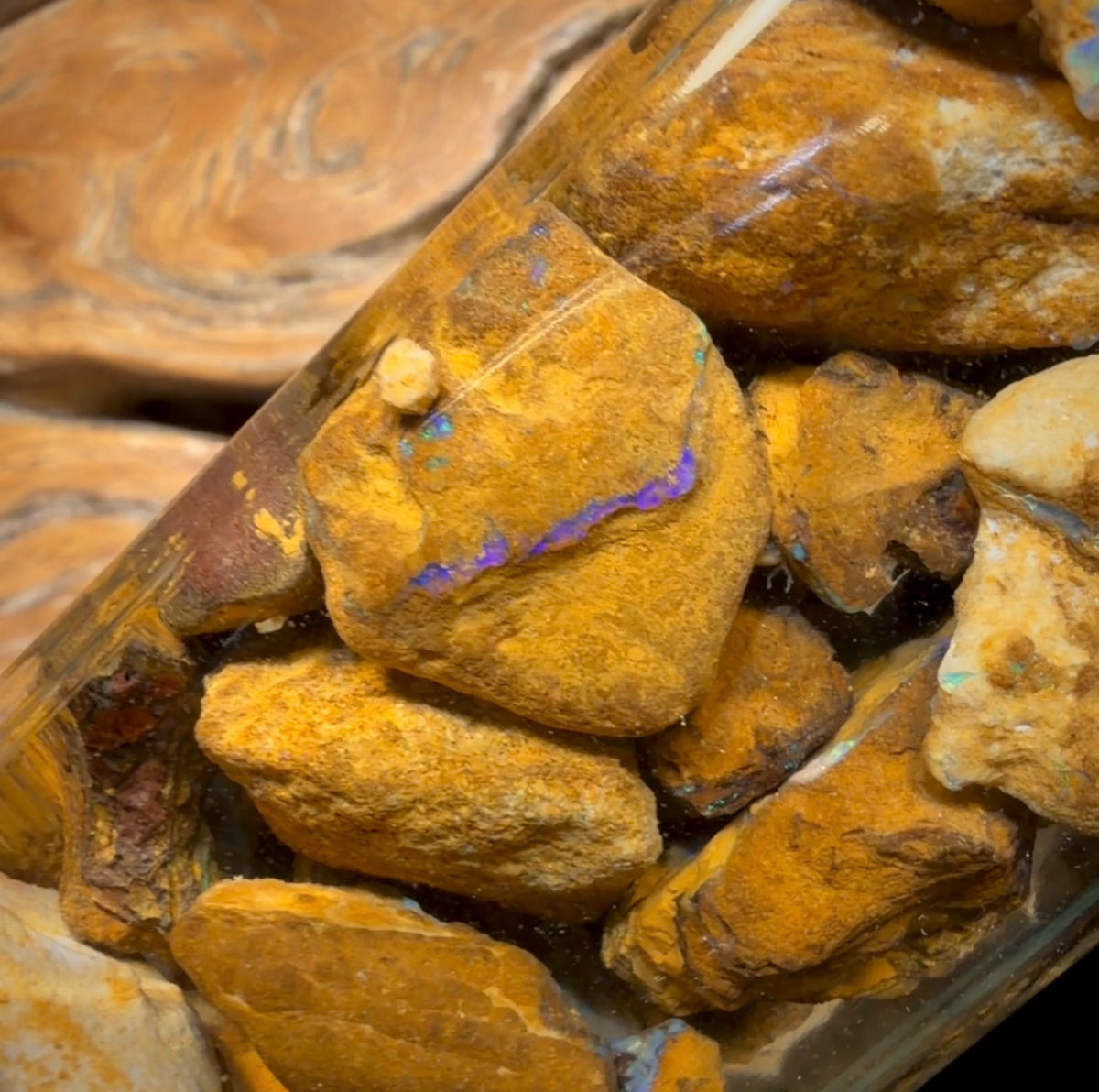 656 Karat – Glas mit Yowah-Nussopal-Rohmaterial und fossilem Opal