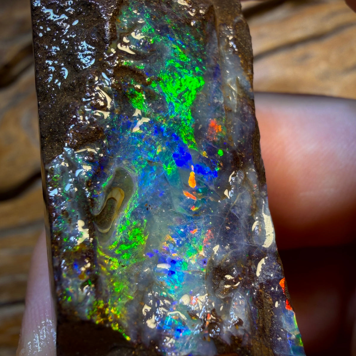 207cts - Top Queensland Boulder Seam Opal Rough Piece. Natural Split
