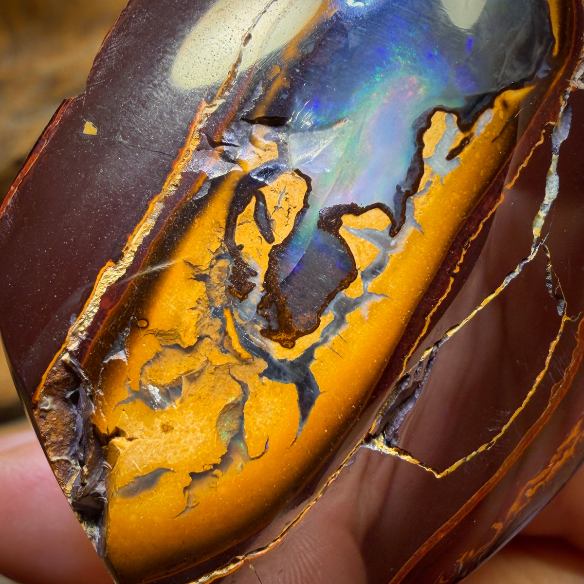 448.4cts - “To Cut or Not To Cut” Yowah Nut Kernel Opal. Polished Specimen