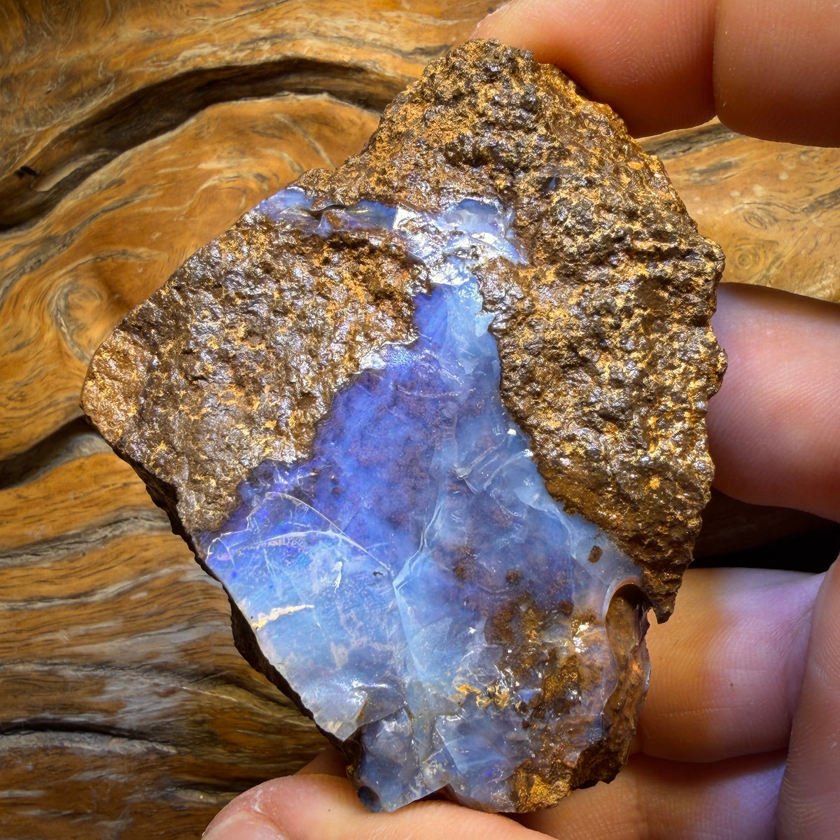 919cts - Queensland Boulder Seam Opal Rough Piece