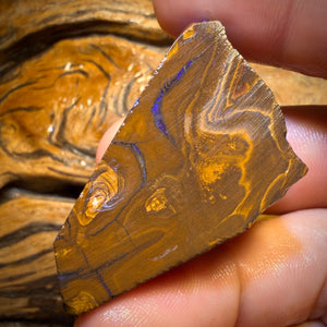 192.2cts - Found whilst Filming for Discovery Channel Duck Creek Boulder Opal Rough Preform