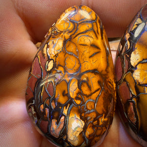 208.1cts - “Partners”Tribal Queensland Boulder Opal Pair